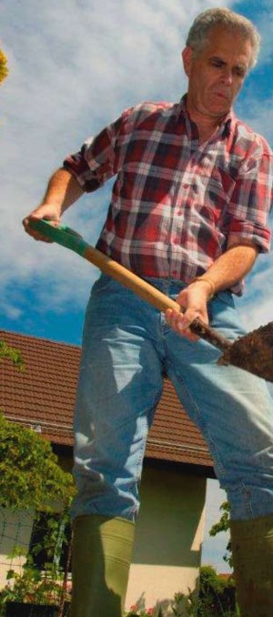 Creating healthy soil